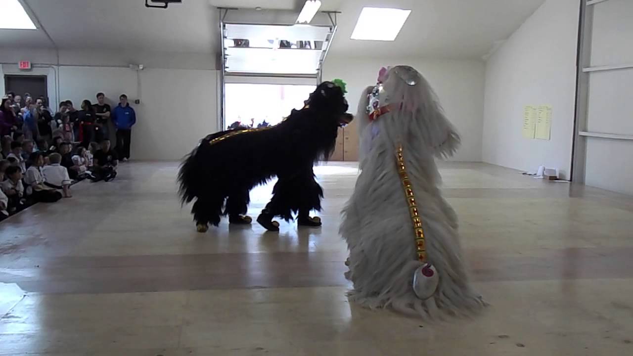 WuDao Grand Opening Lion Dance 05/03/2015