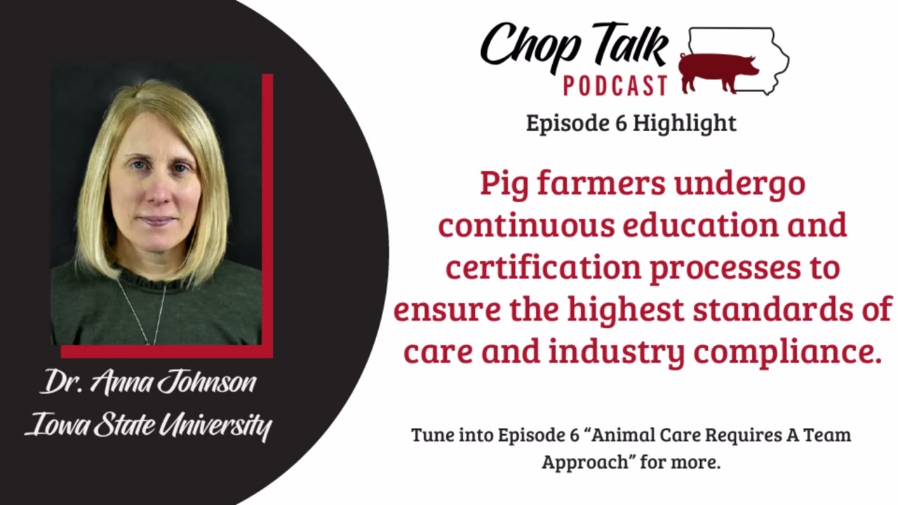 ChopTalk Episode 6 Highlight: Pork Producers Uphold High Standards of Animal Care