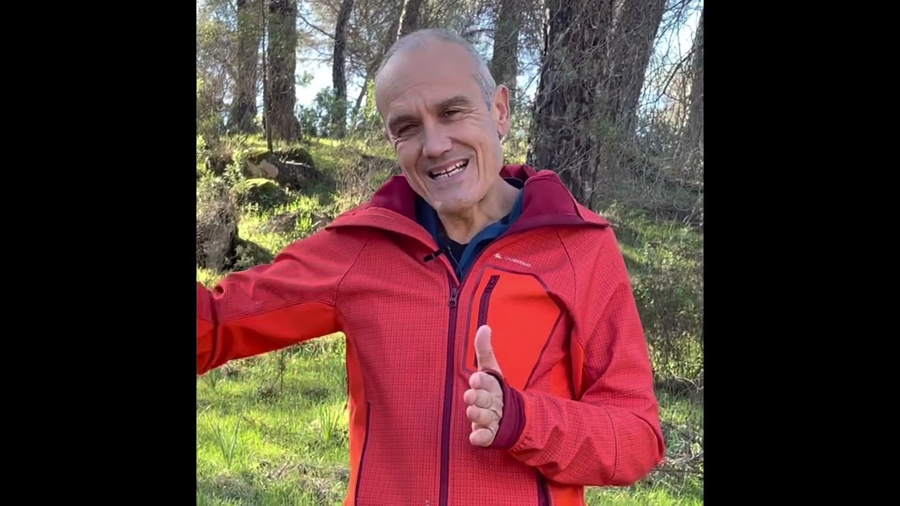 Quieres estar verdaderamente limpio de patógenos ?? BÁÑATE EN EL BOSQUE !!