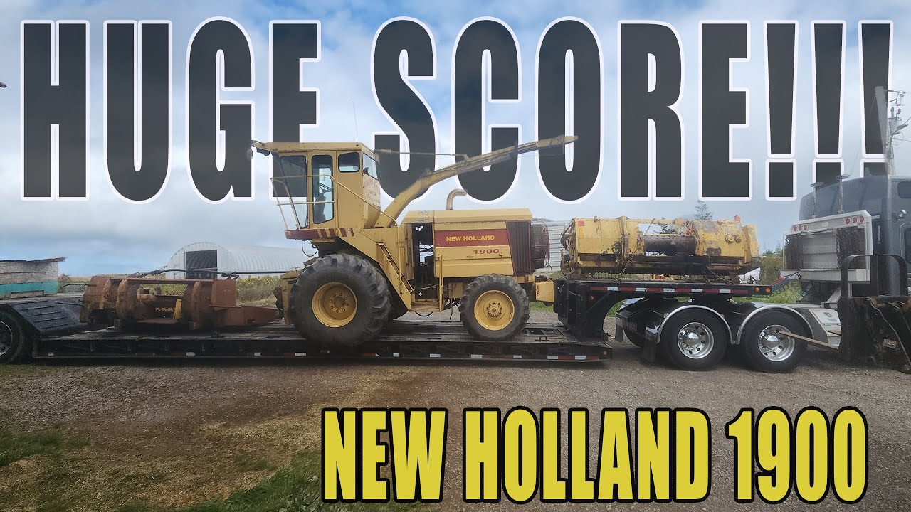 WE BOUGHT ANOTHER FORAGE HARVESTER - NEW HOLLAND 1900
