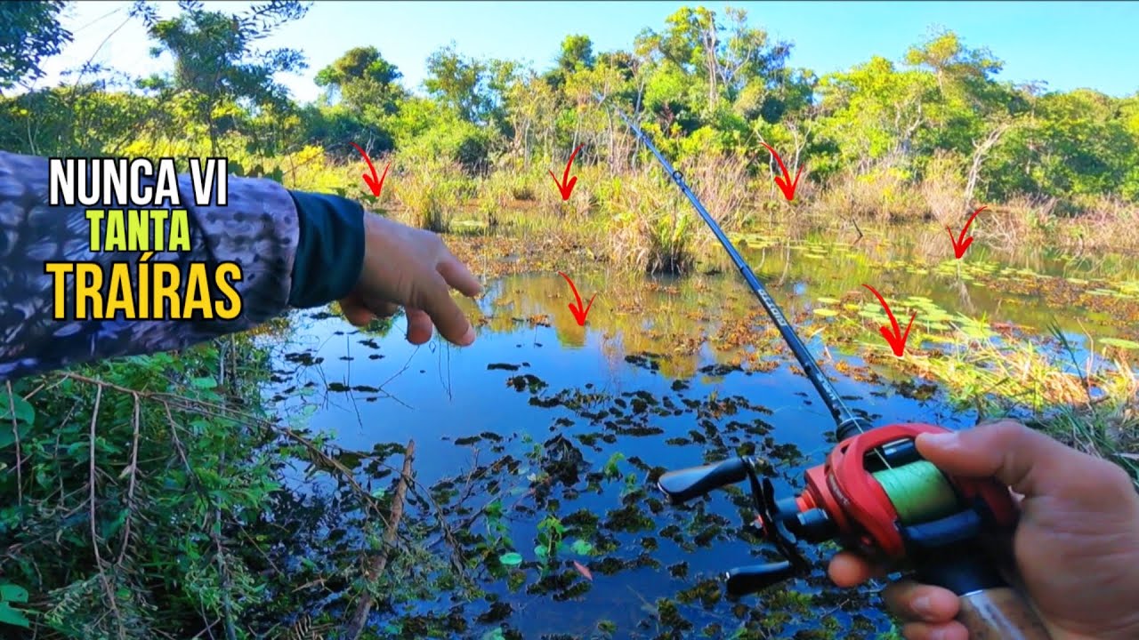 🚨O MELHOR lugar para pegar TRAÍRAS!! Pescaria de Traíras no RATINHU🔥