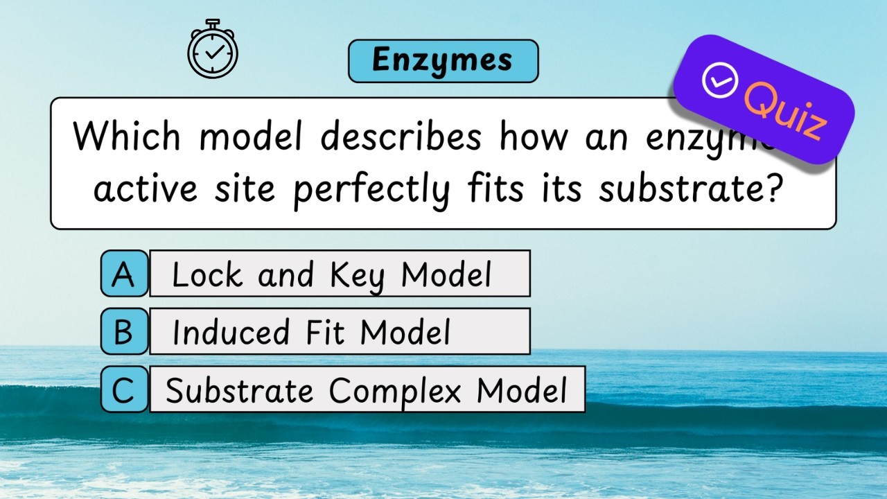 Enzyme Quiz: 20 Questions to Test Your Biology Knowledge!