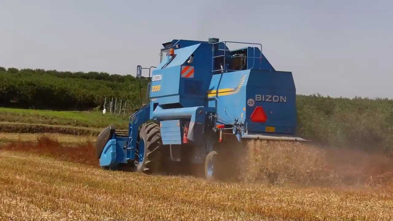 Gryka Żniwa 2012 Cz.2 Bizon Rekord i Zetor Proxima