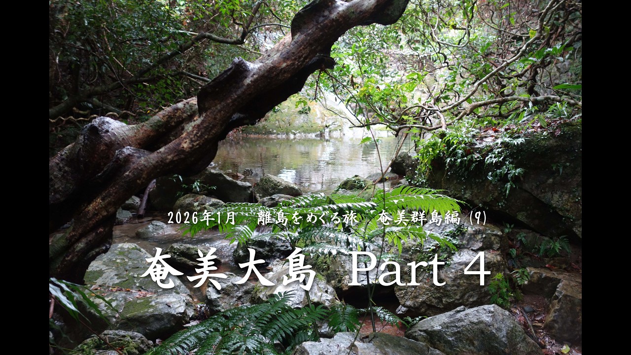 奄美大島  Part 4