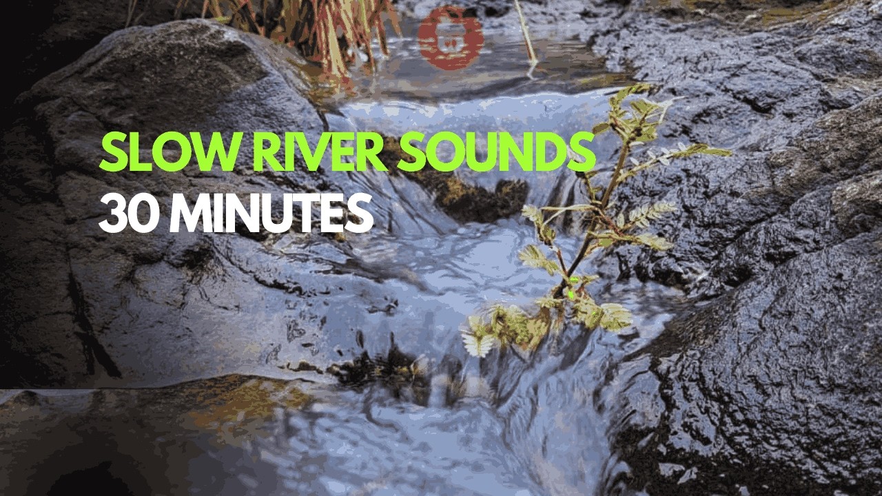 30 Minutes Slow River Sounds, Relaxing Water for Deep Sleep & Stress Relief | No Talking