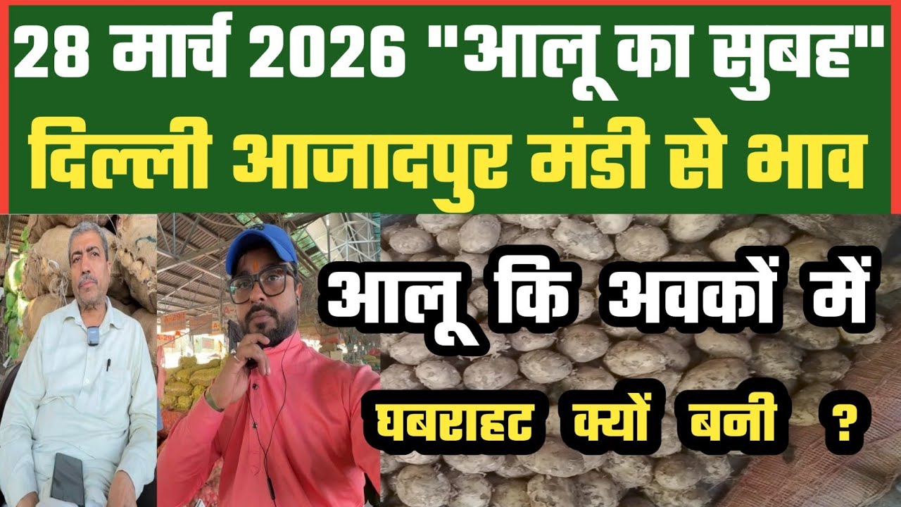 क्या आगे आलू बाजार सुधार बनने वाला है ? Azadpur Delhi Mandi Today 28-03-2026 Potato Rate