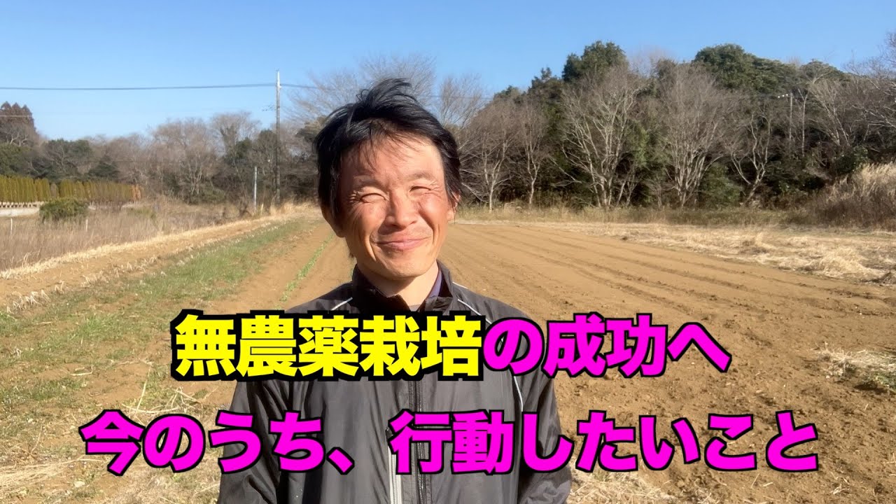 無農薬野菜栽培の成功のため、今のうち行動したいこと