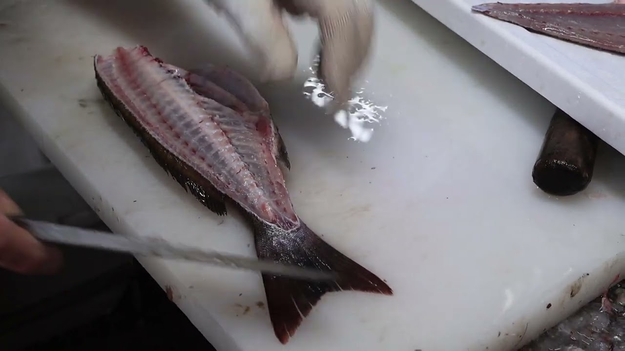 いさきを捌く！