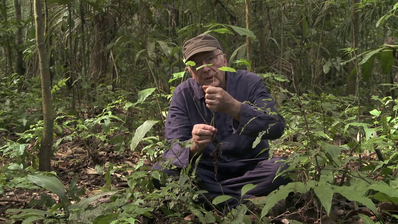 Episode 09 La croissance des plantes