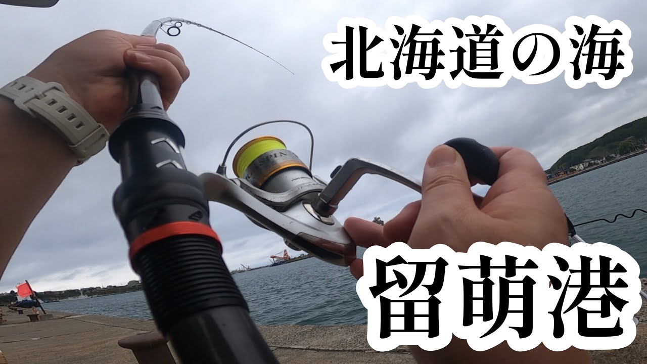 北海道 留萌港 ～2021年9月末日～ 港でまったり釣りを楽しむ。そこにかかったのは⁉ こんなにデカいのは初めて…。