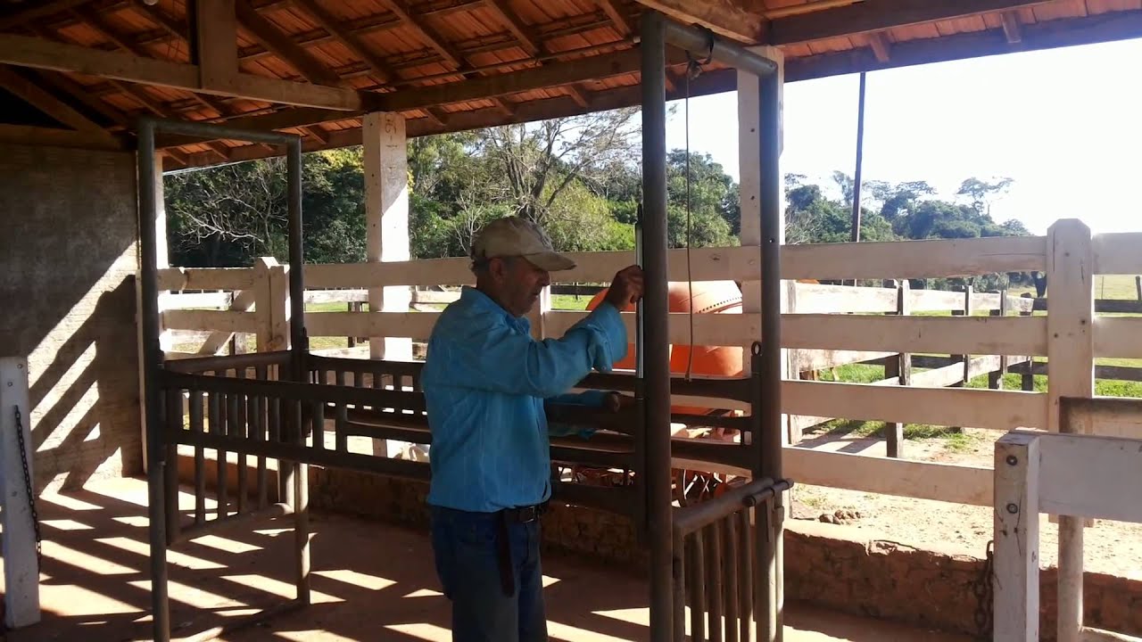 HARAS SANTA MÔNICA, TRONCO DE CONTENÇÃO.