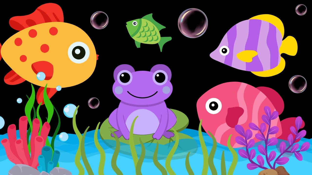 Baby Sensory Video - High Contrast - Sensory Videos For Babies - Visual Stimulation Newborn #baby
