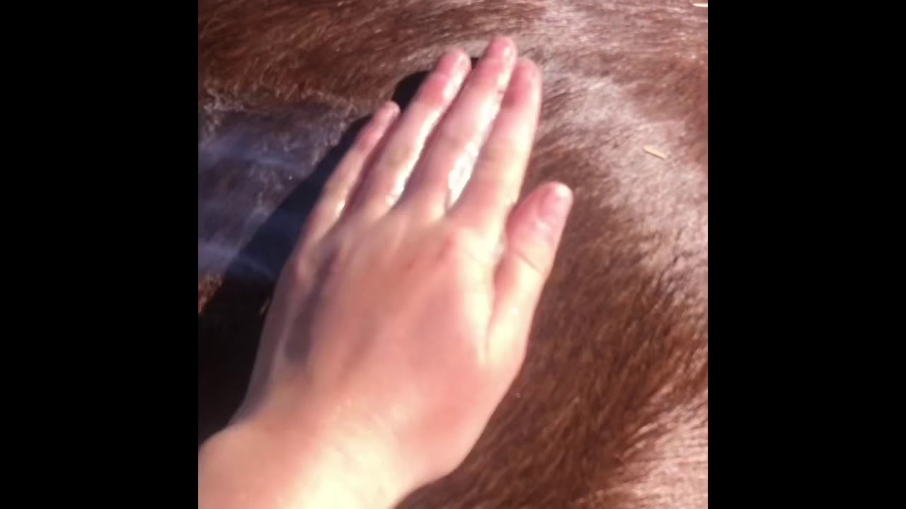 Twinkel wassen|#muziekvideo