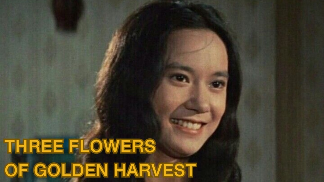 Hong Kong Cinema - The Golden Age - Part 6 - Three Flowers Of Golden Harvest