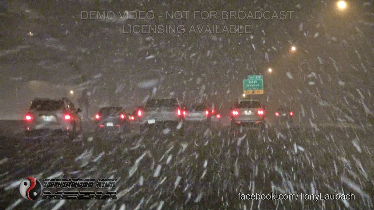 2013-02-23 Heavy Snow - Thornton, CO