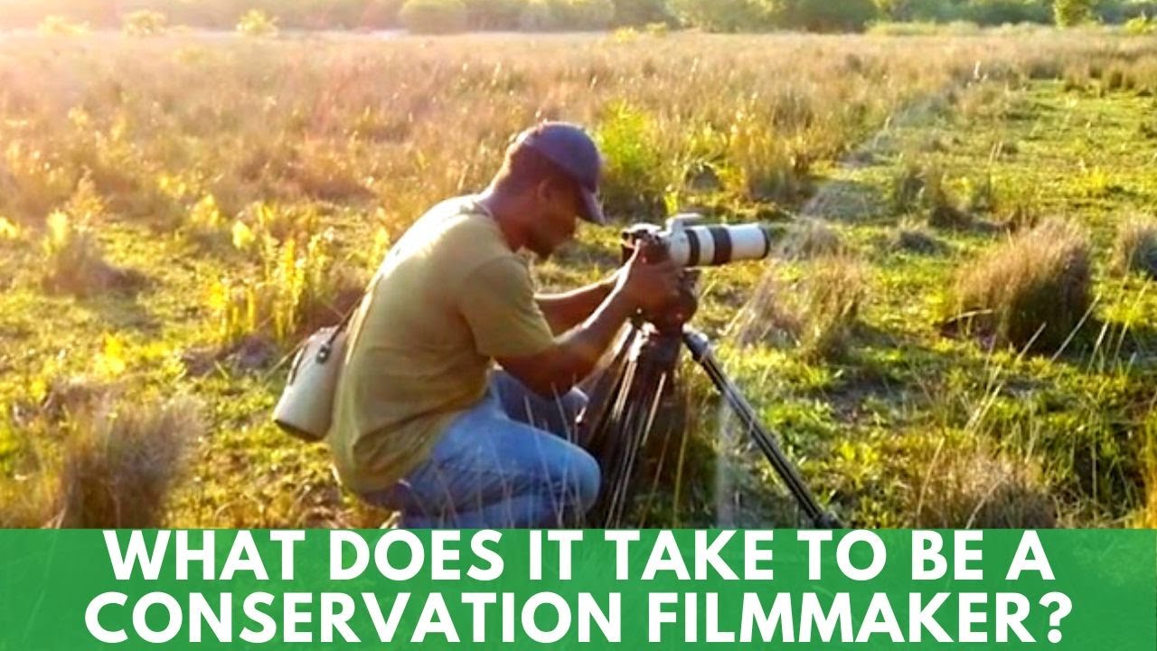 Do you have what it takes to be a conservation filmmaker?