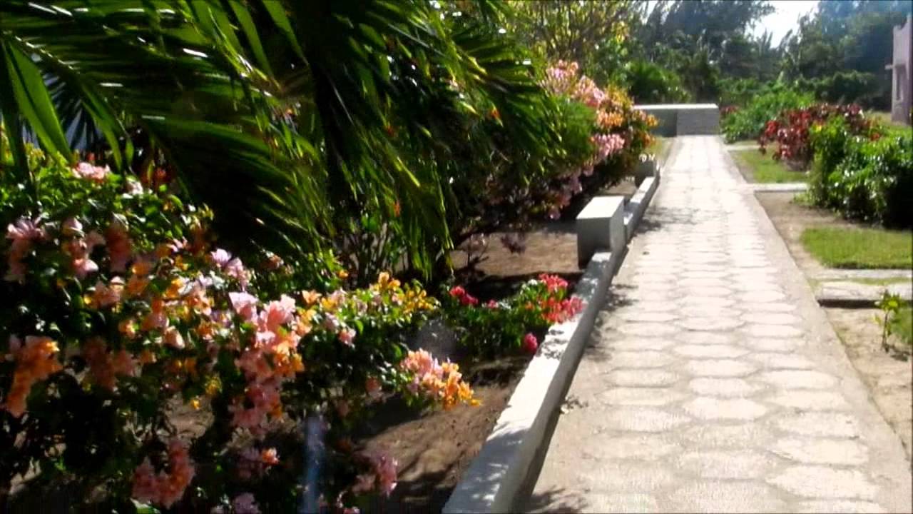 Tararaco, Cuba