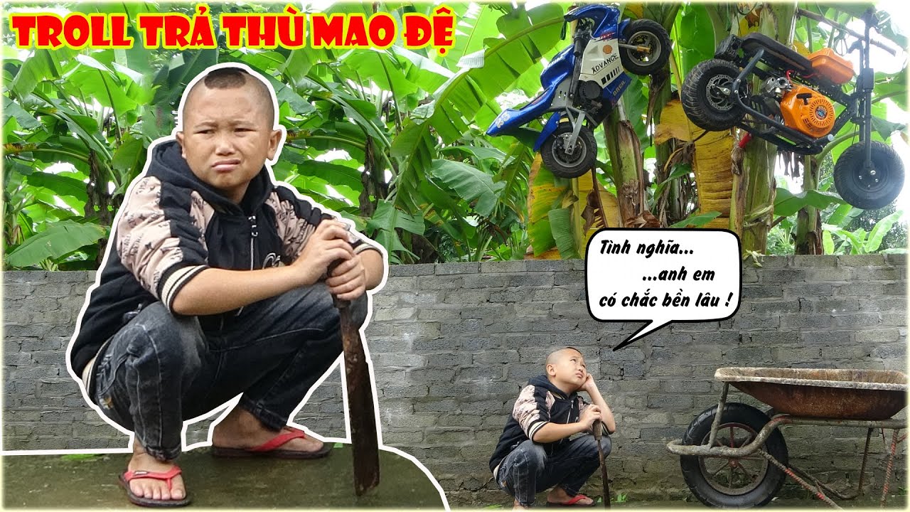Màn Troll Trả Thù Mao Đệ Đệ - Treo Dàn Siêu Xe Của Mao Đệ Lên Ngọn Cây Chuối