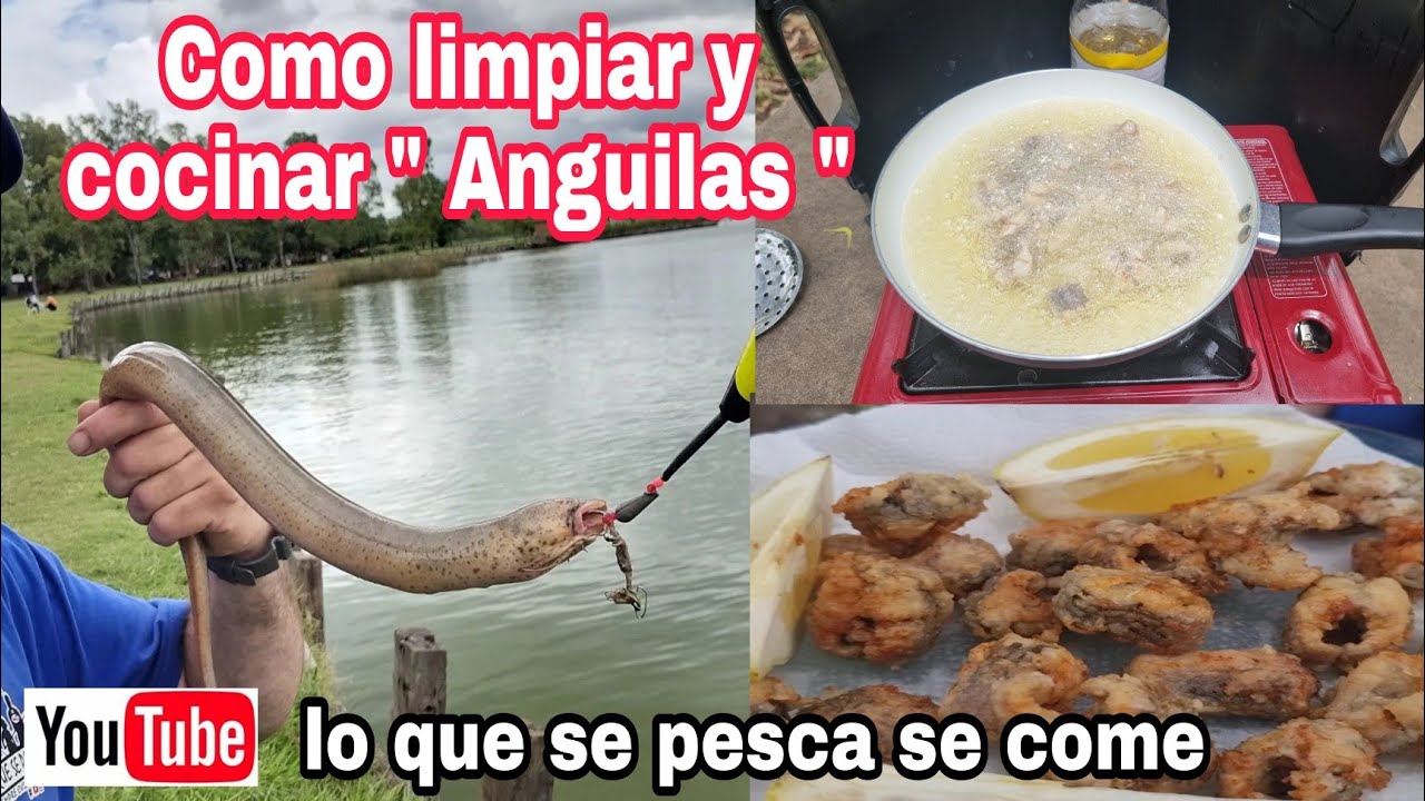 como limpiar y cocinar una ANGUILA / receta de ANGUILA / ANGUILA frita / Pesca de ANGUILA