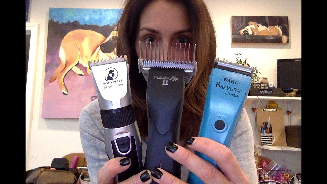 Обзор моей машинки для стрижки! Wahl Bravura, Bonve Pet и Andis Pulse ZR II