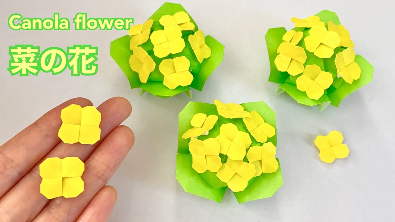 【折り紙】菜の花の作り方／【Origami】Canola Flower
