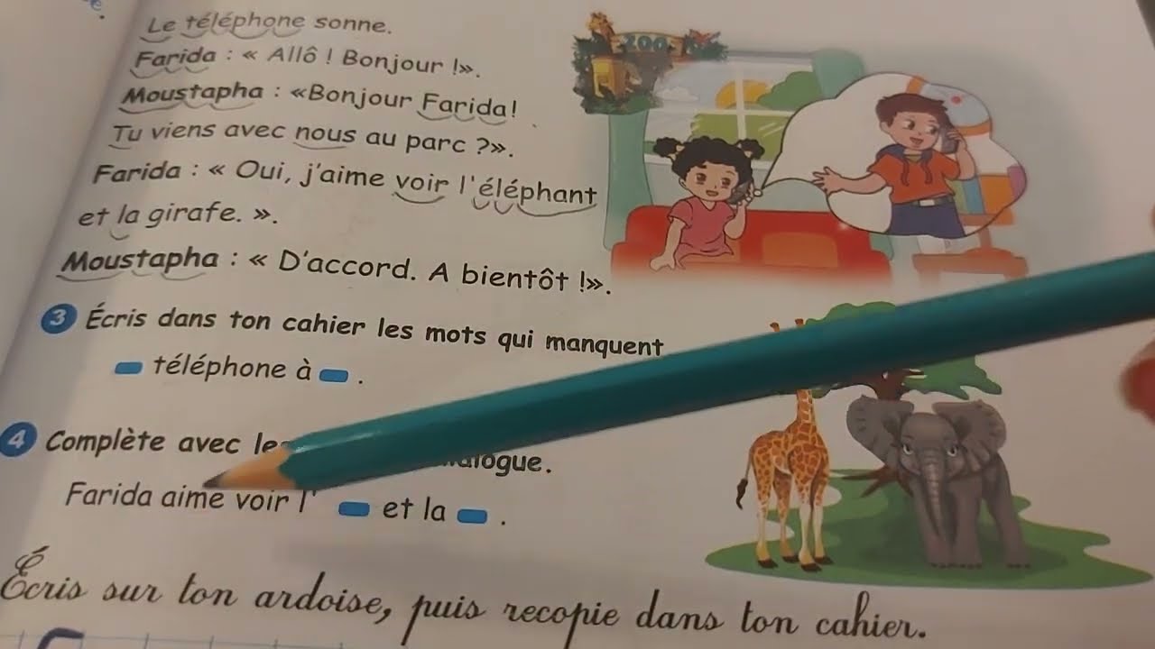 كتاب الفرنسية 3 ابتدائي صفحة  46 و47 /Livre français 3AP p 46 et 47