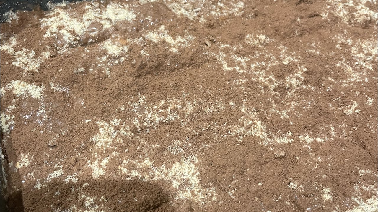 بدأت قناة 
