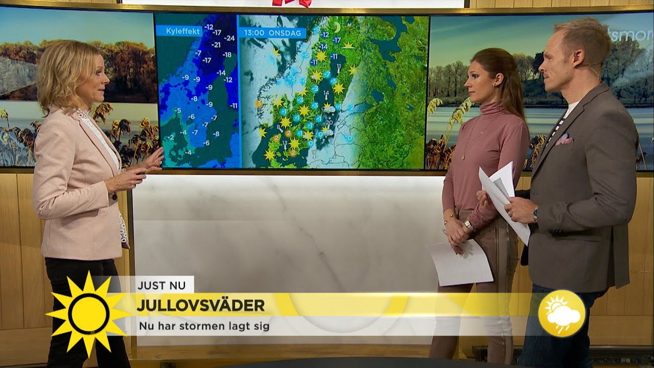 Så blir vädret - stormen har lagt sig - Nyhetsmorgon (TV4)
