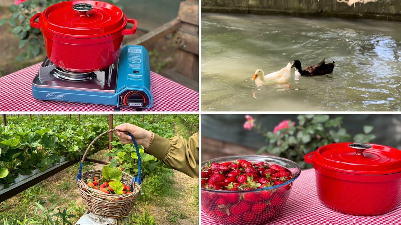 #15 GamiHomi Sessiz vlog Çilek bahçesinde bir gün 🍓Çilek reçeli yapımı