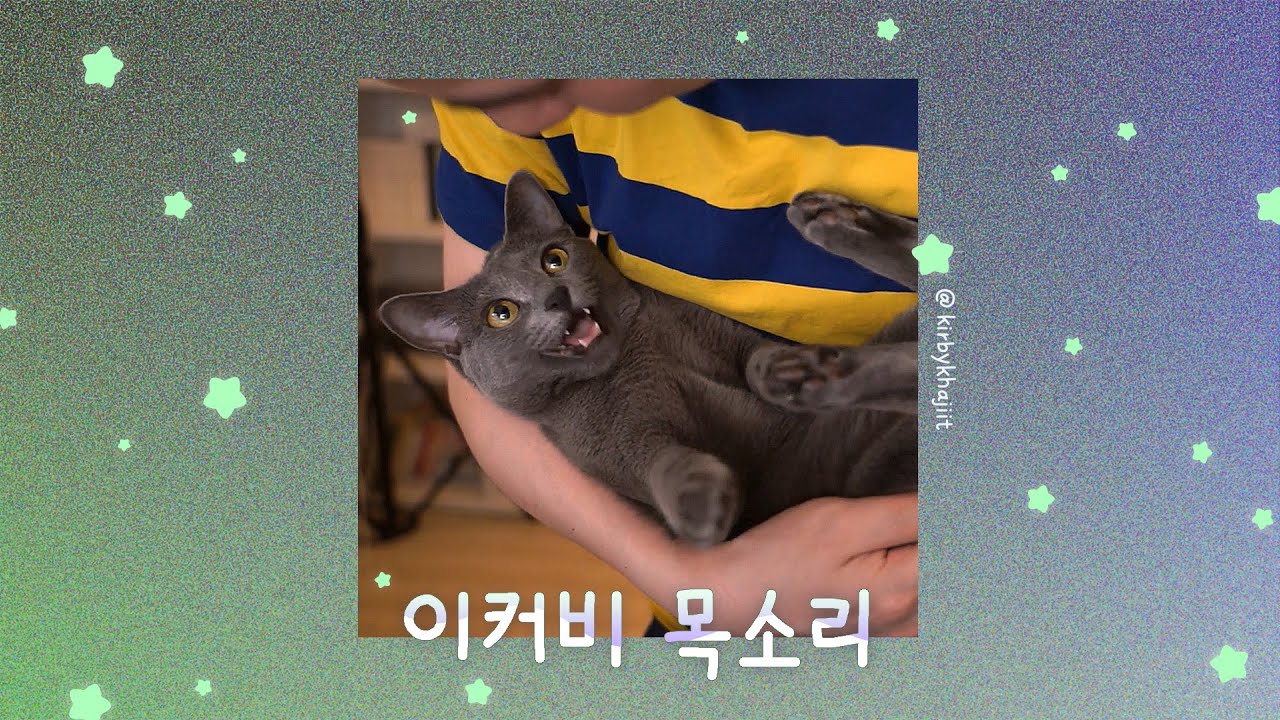 이커비 목소리🎤