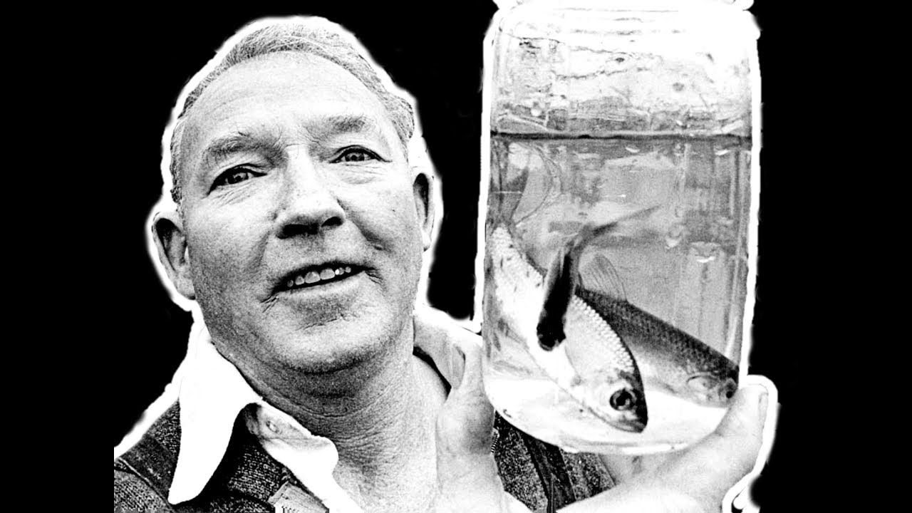 The Fish Terrorist That Forever Trashed New Zealand