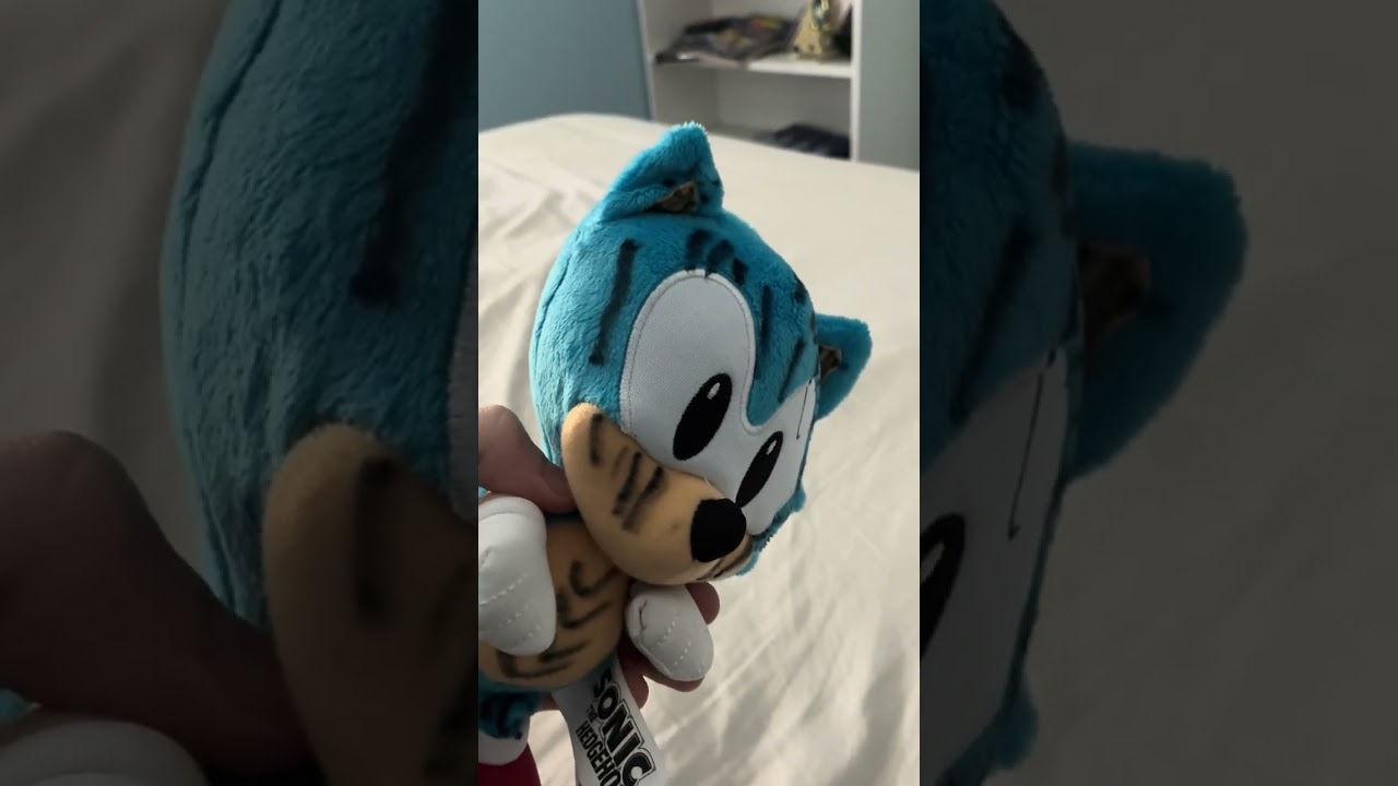 The tale of sonic the hedgehog chaos quest