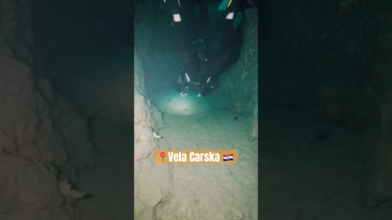 Fun dive in Croatia 🔦#dive #diving #scubadiving #scubatravel #girlthatscuba #plong&eacute;esousmarine