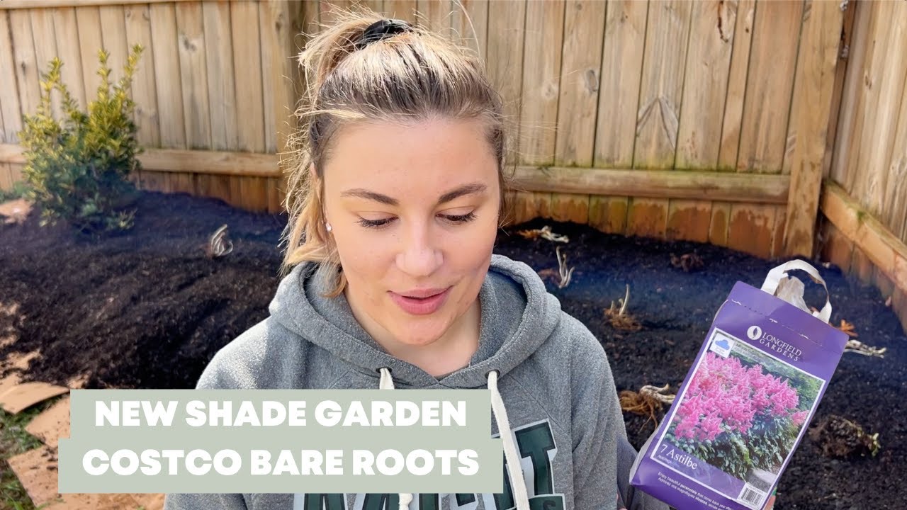 CREATING A SHADE GARDEN & PLANTING COSTCO SHADE BARE ROOTS