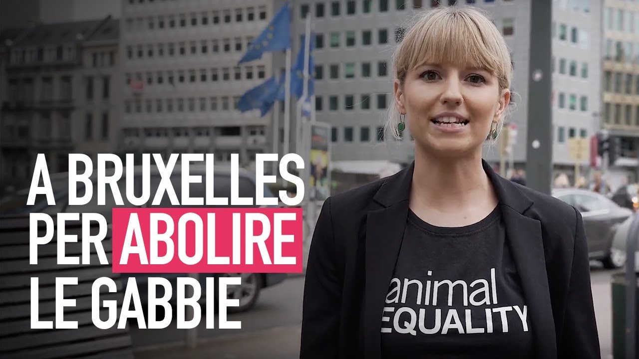 Animal Equality a Bruxelles per abolire le gabbie