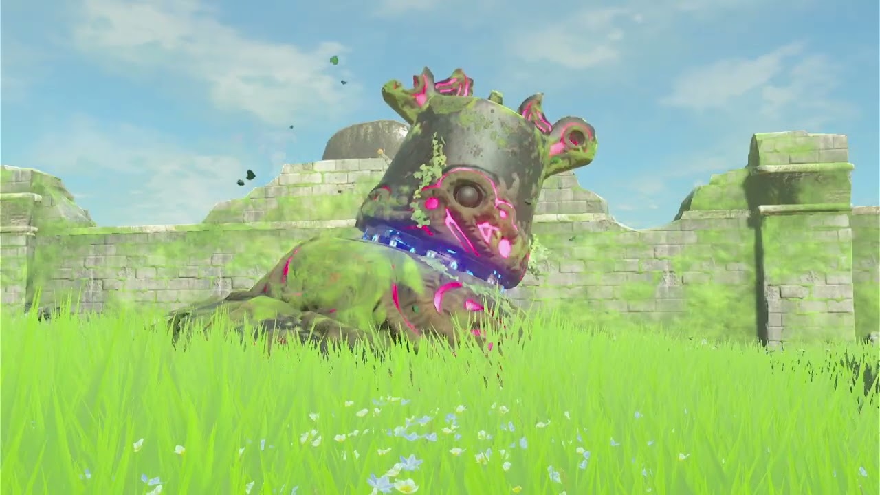 100% BOTW