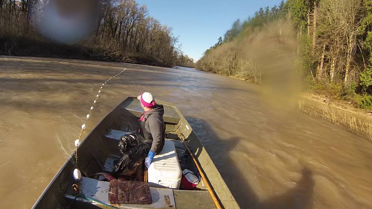 Gill net fishing