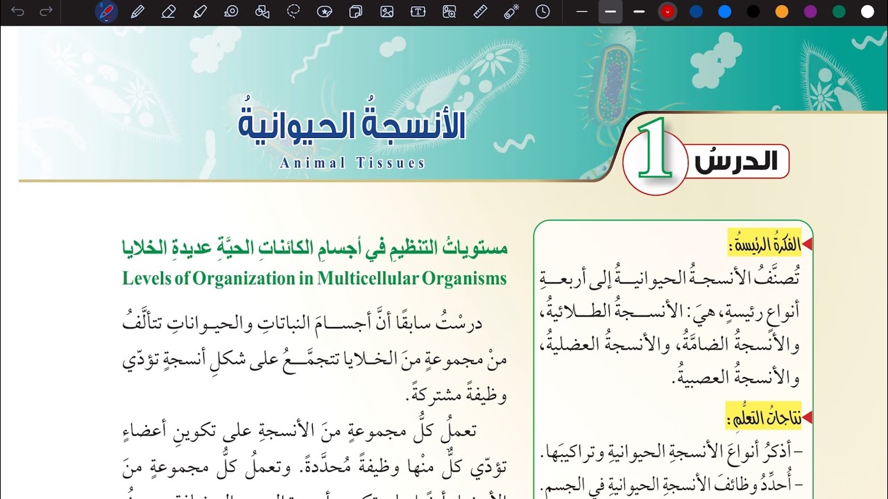 شرح درس الأنسجة الحيوانية ج 1 | أحياء تاسع المنهاج الأردني الجديد