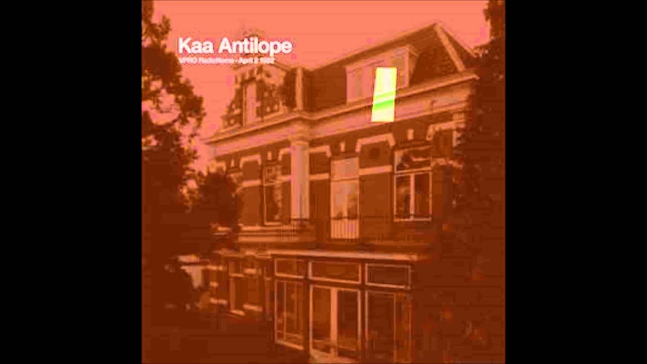 Burning Ashes - Kaa Antilope
