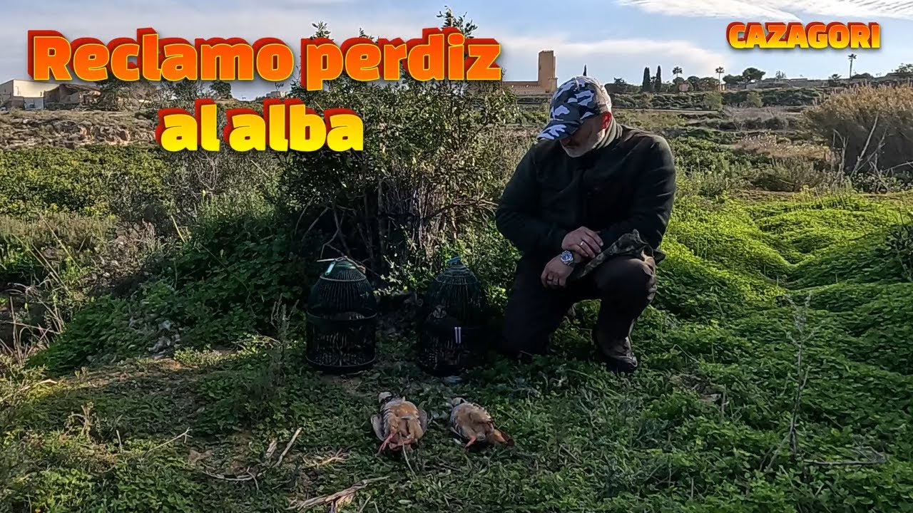 El Primer Puesto al reclamo de mi vida   | Caza de Perdiz con Reclamo al Alba 🐦🌅 #CazaConReclamo