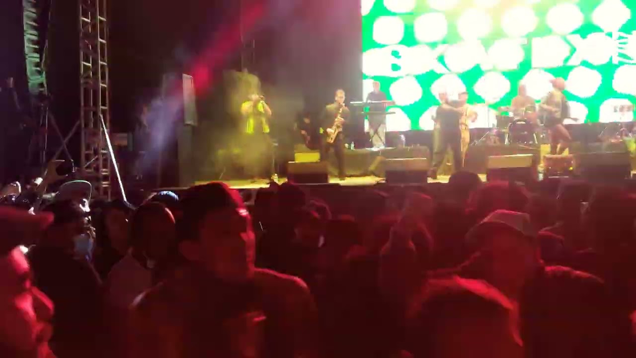 Inspecter 7 - The game live Skatex 2022.