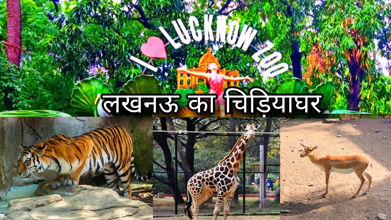 Lucknow Zoo Full Tour | Lucknow chidiyaghar | Nawab Wajid Ali Shah Zoological Garden | zoo in india