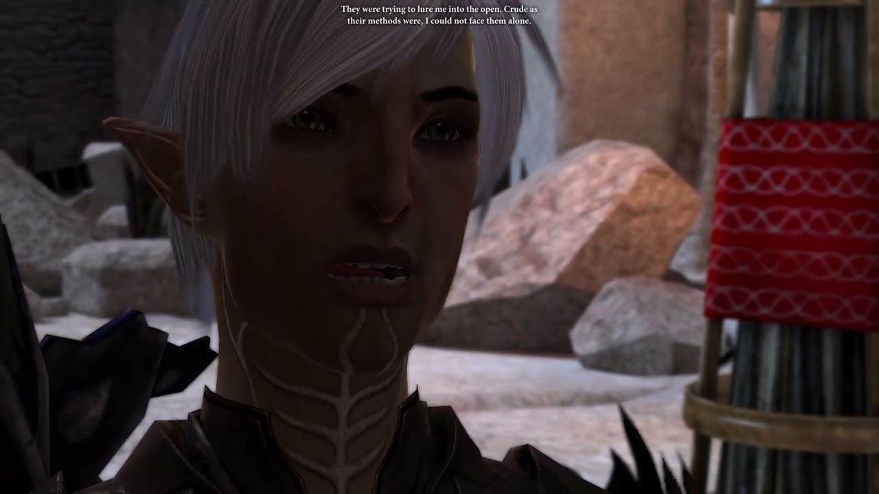 ZoTa Plays Dragon Age 2 Part 14