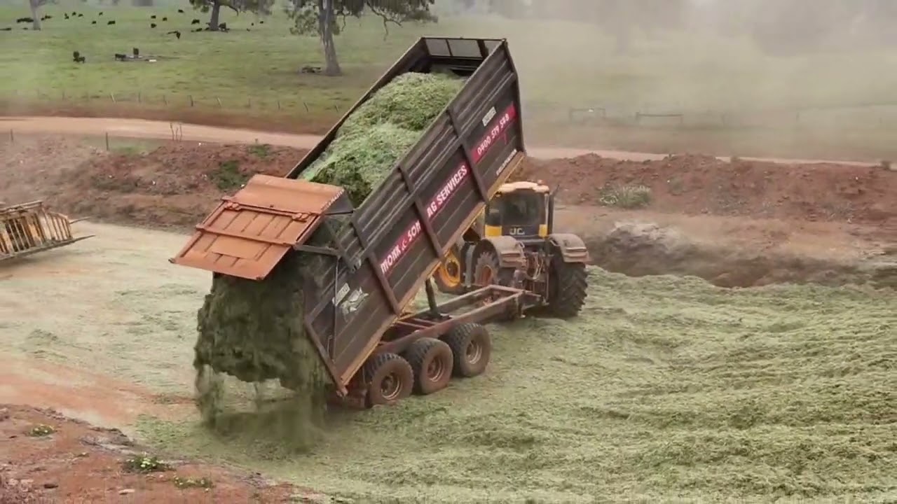 We cut grass..