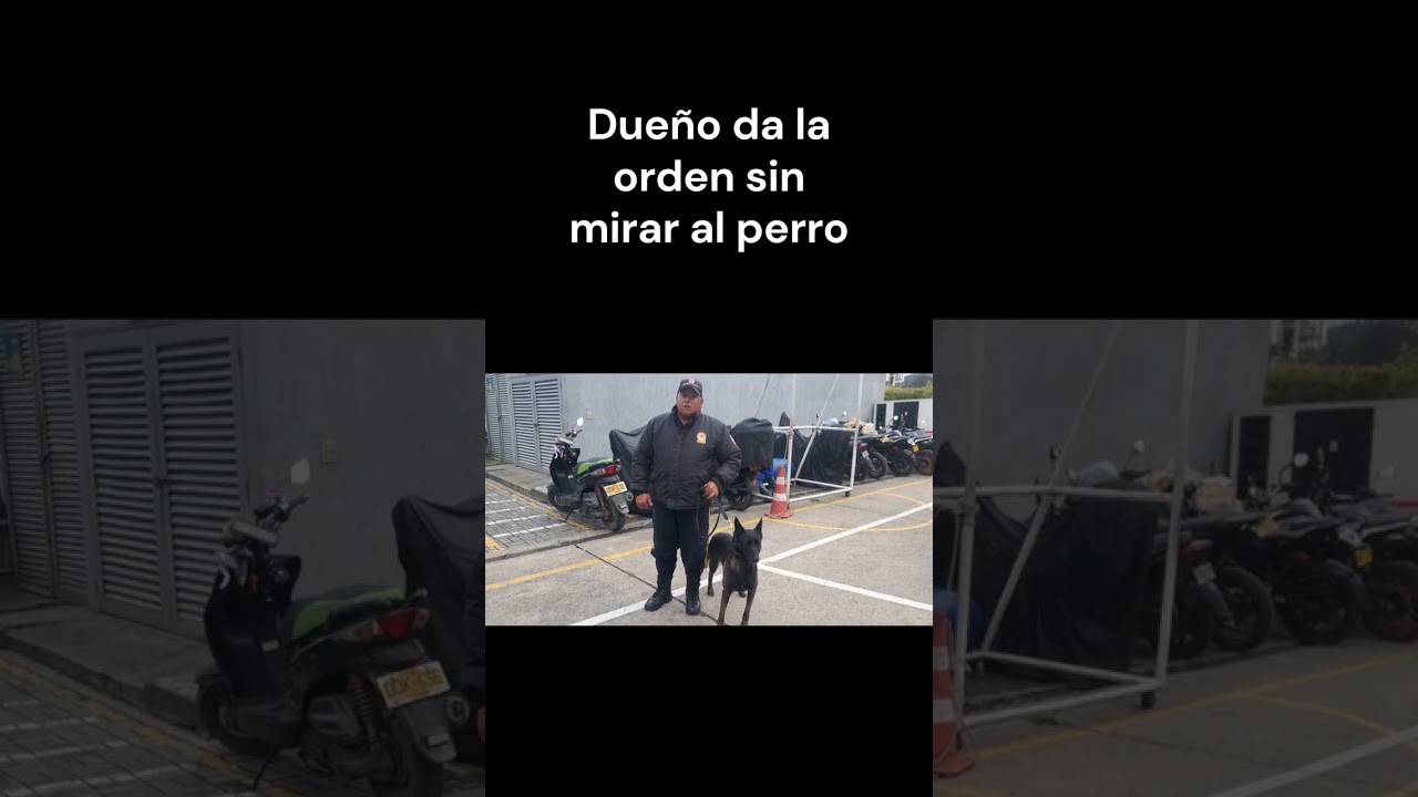 Comportamiento animal eje 3