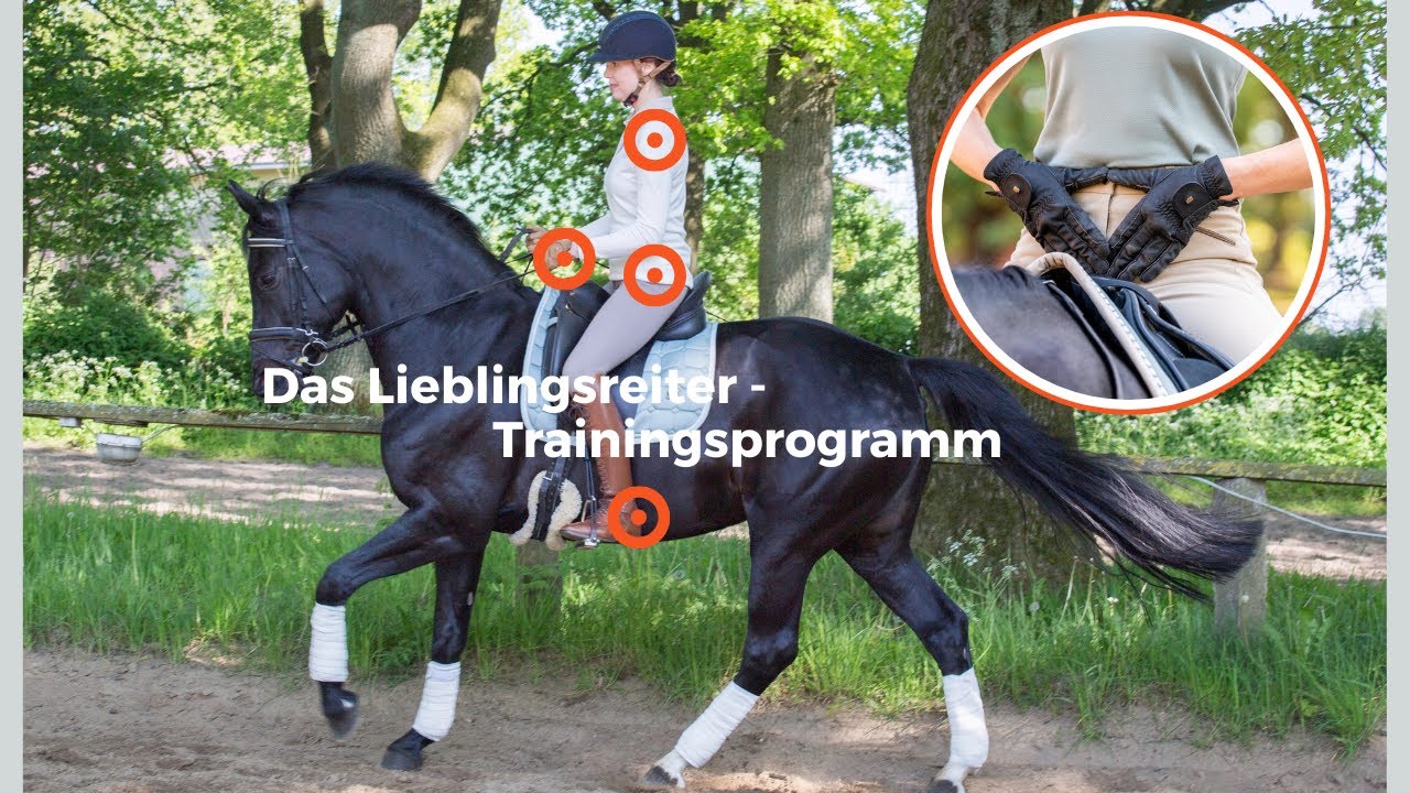 Mein Online - Kurs Reiten - Das Lieblingsreiter - Training f&uuml;r Euch!❤️