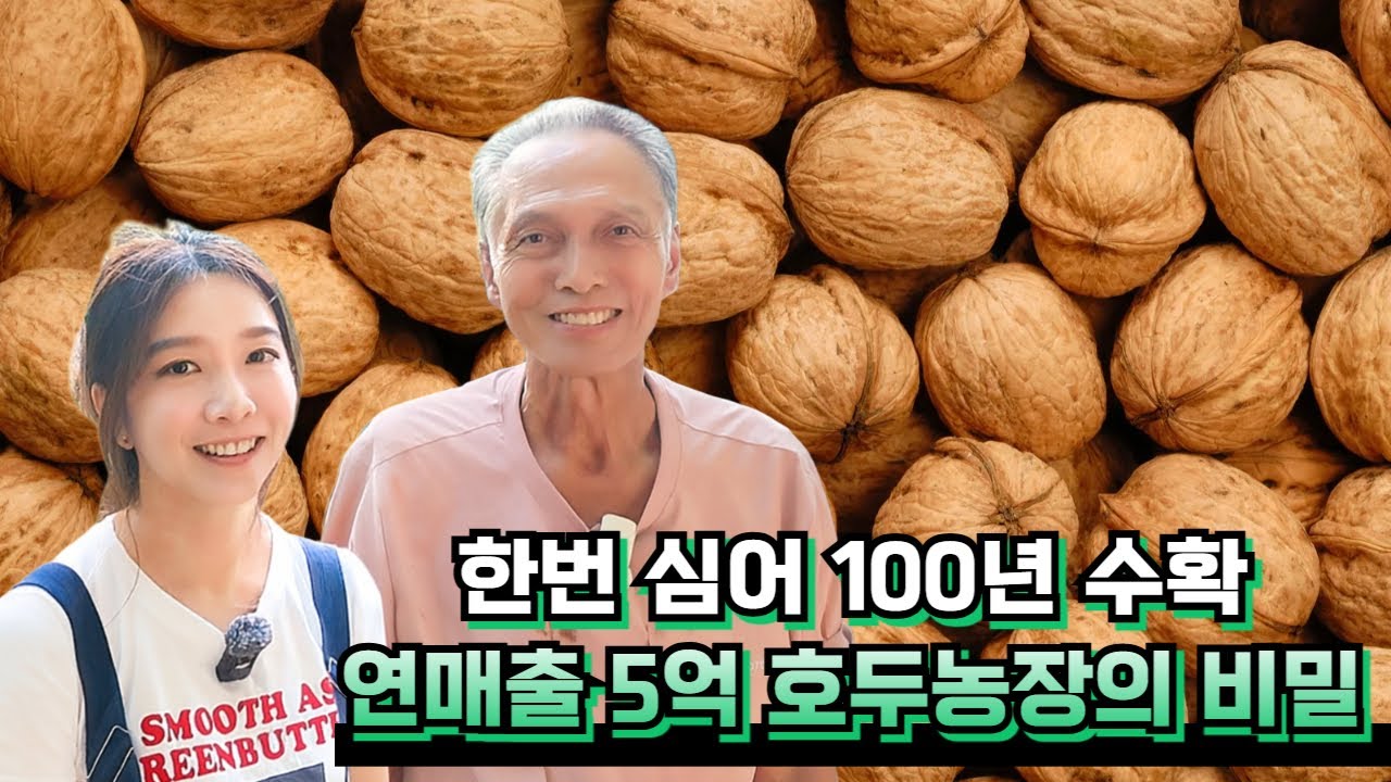 한번 심어  100년 수확!💰 연매출 5억! 호두농장의 비밀❓❗[🙏위대한 실패]