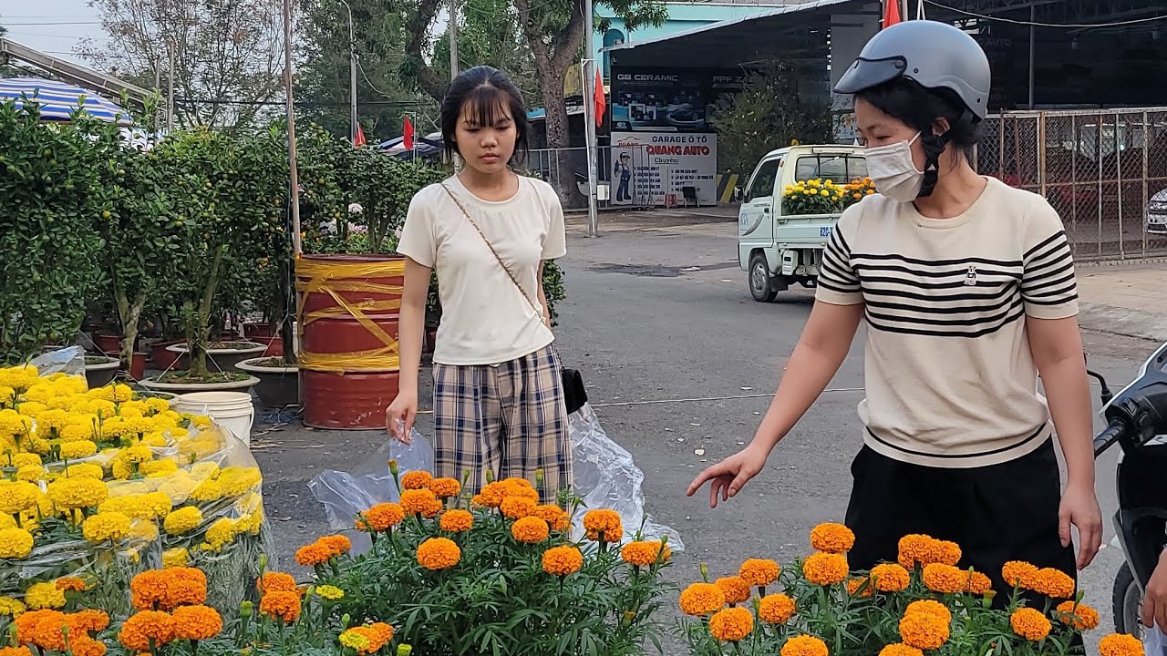 Chợ hoa Tết Cao Lãnh Rực Rỡ sắc màu độc lạ chưa từng có nhiều hoa đẹp giá rẻ