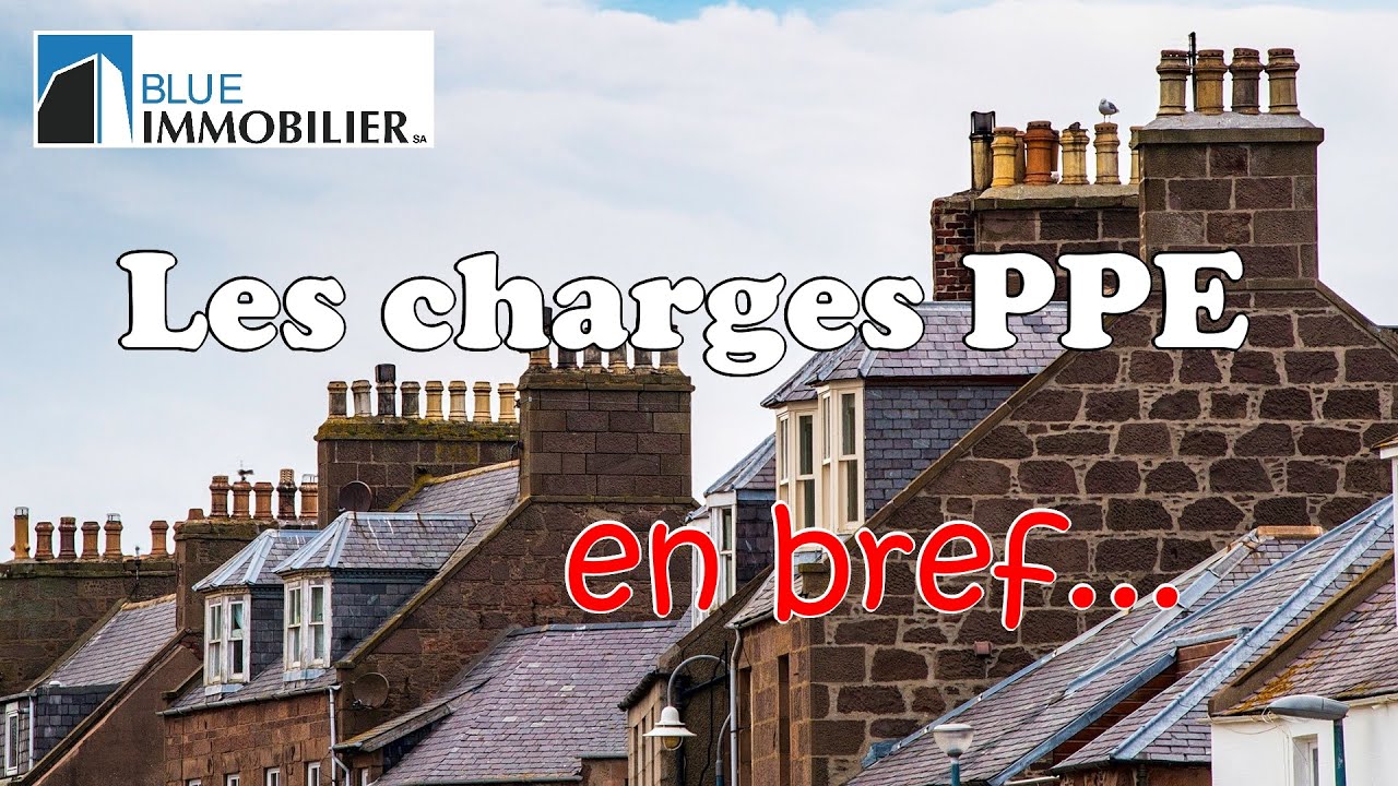 LES CHARGES PPE... EN BREF