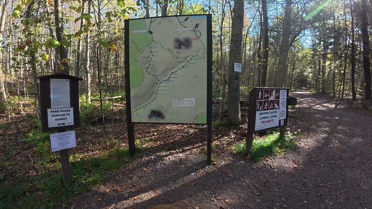 Waterfalls, Forest Trails & My Dog | Falls Trail→ Highland Trail via Cherry Run Loop with My Dog 🐕🥾